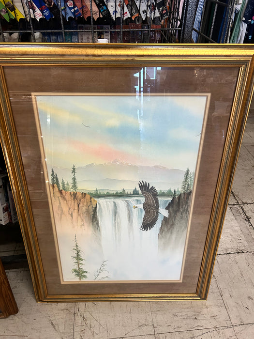 Framed eagle print picture 34074