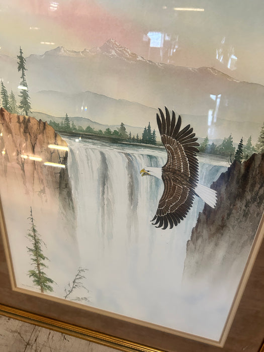 Framed eagle print picture 34074