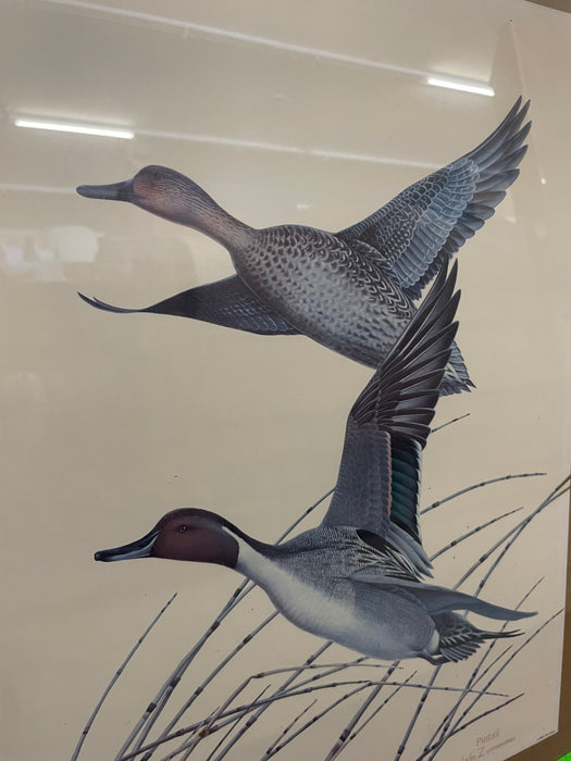 Vintage framed pintail ducks print by William Zimmerman 32748