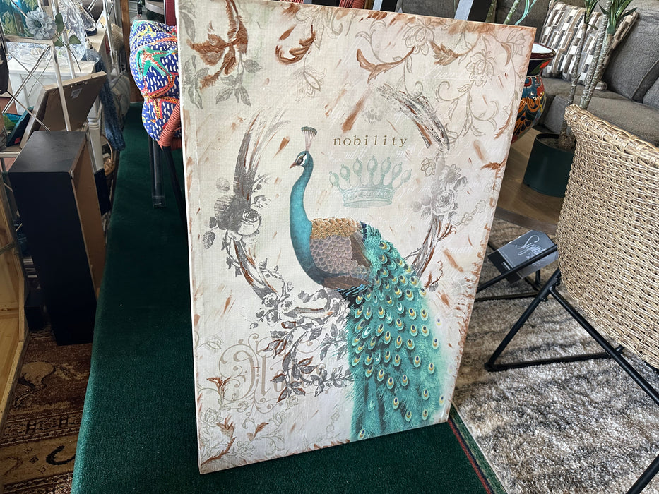 Peacock canvas print 31045