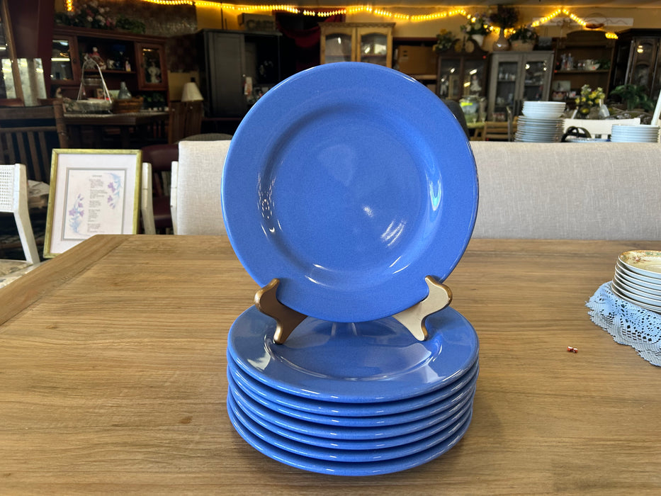 Waechtersbach blue dinner plates 33595