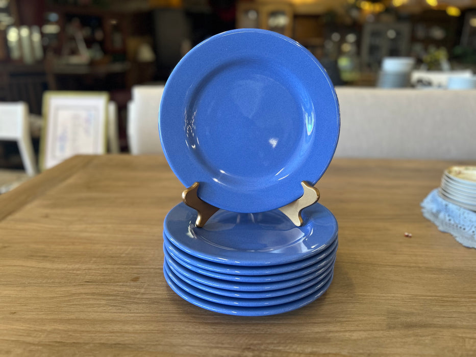 Waechtersbach blue dinner plates 33595