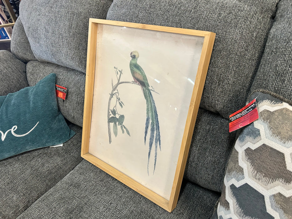 Peacock print picture framed matted 33658
