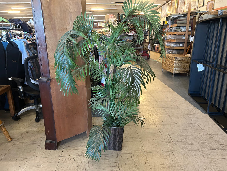Tall faux palm plant 34221