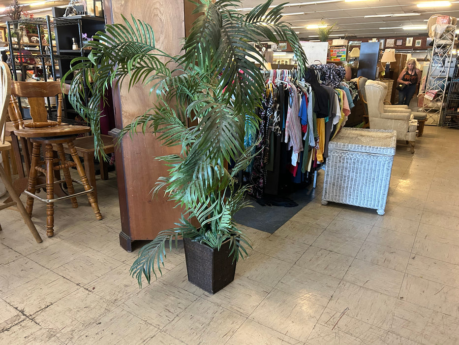 Tall faux palm plant 34221