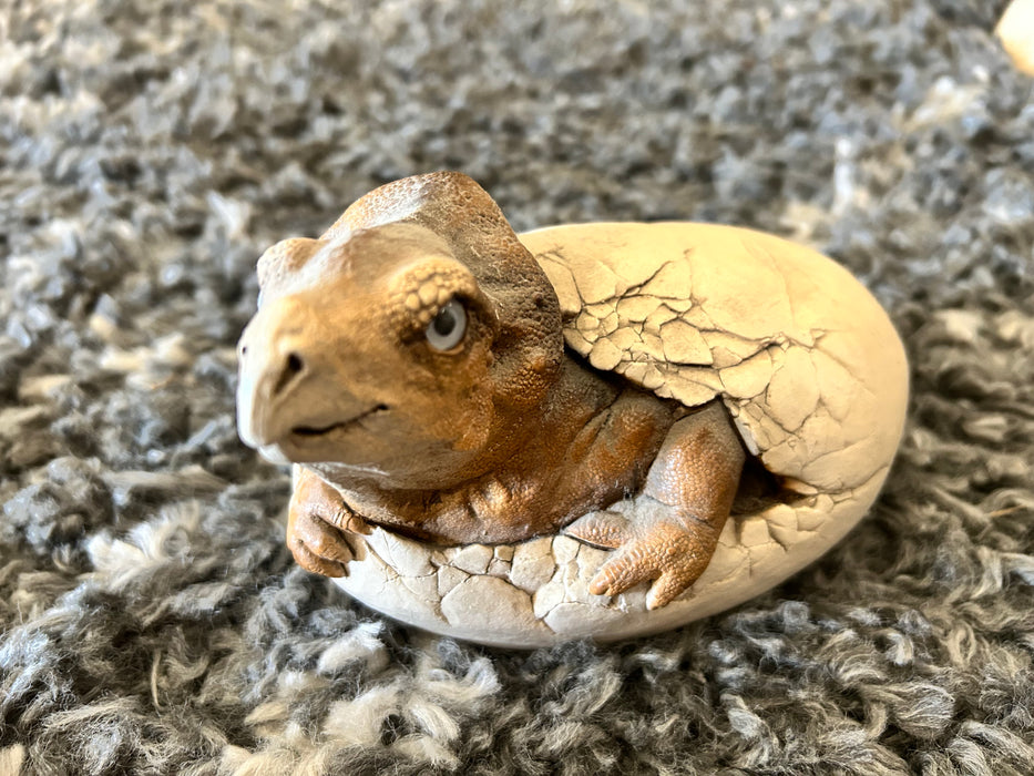 Windstone editions dino egg 33902