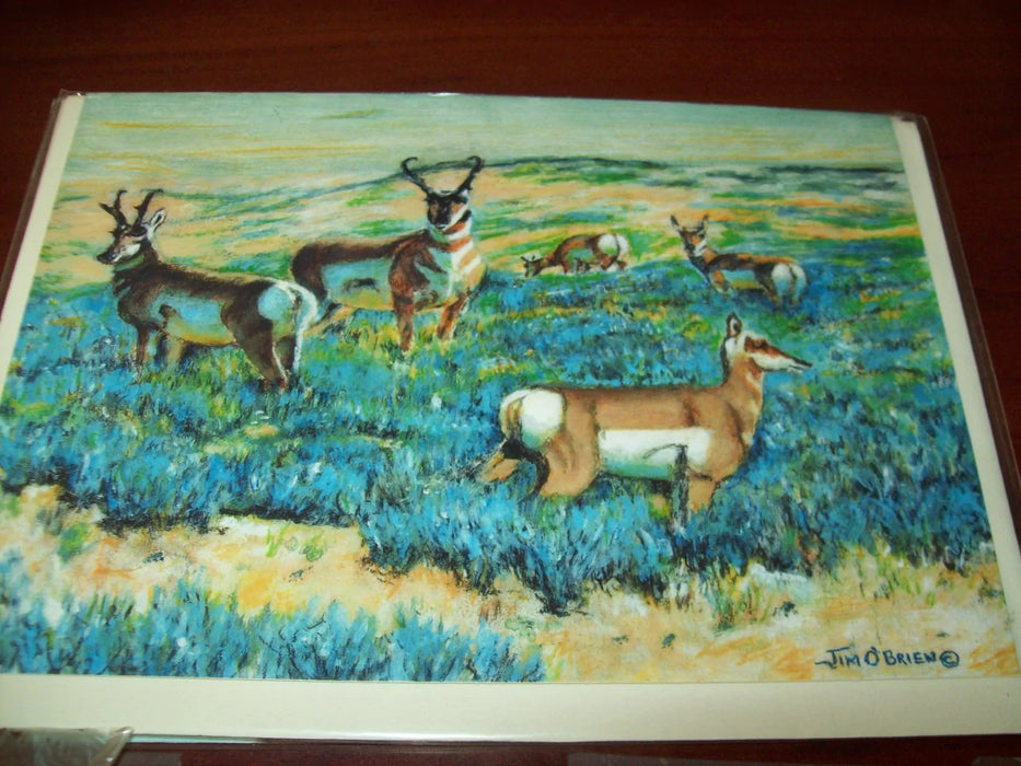 Greeting card local artist Where the Antelope Play 9055