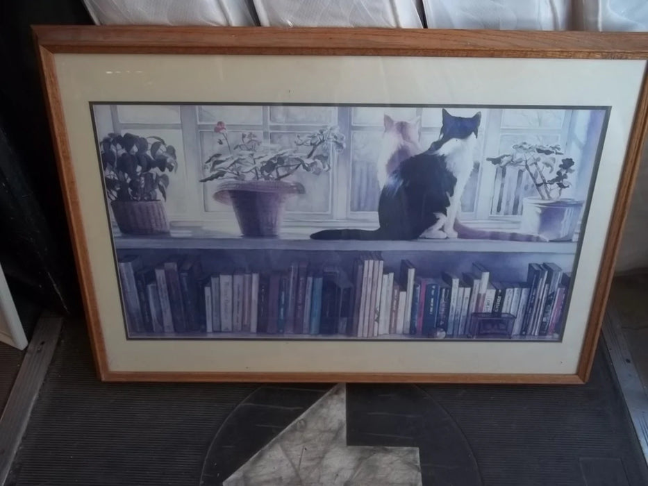 Framed picture cats on books 9144