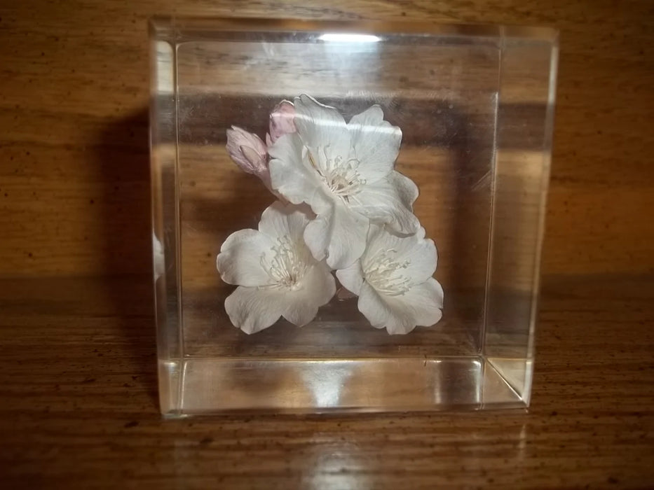 Glass cube with white blossoms 12720