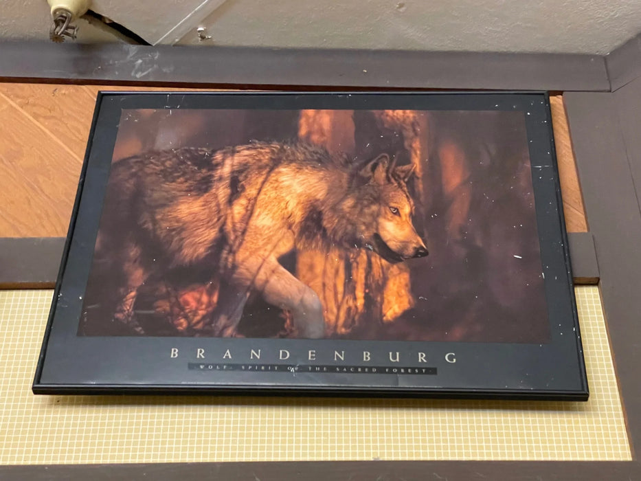 Wolf printed picture, states Brandenburg, frame and matted 25454