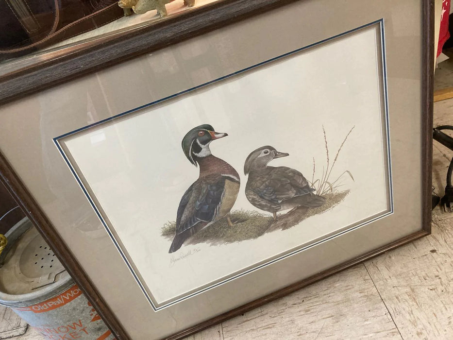 Duck picture framed matted numbered signed 26619