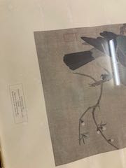 Framed picture pigeons in flower basket, Maruyama School 26604