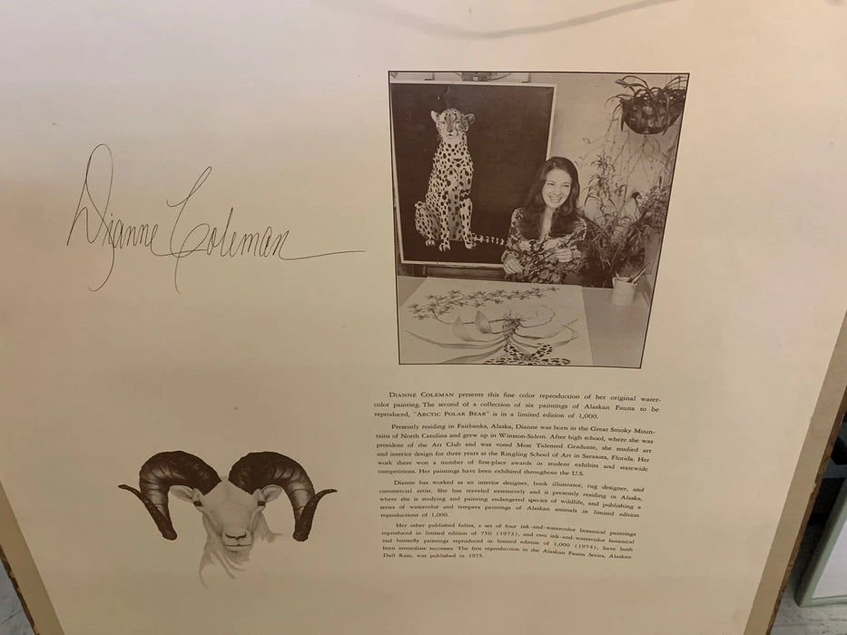 Dianne Coleman, "Snow Leopard" watercolor Lmtd. #810/1000 framed 26856