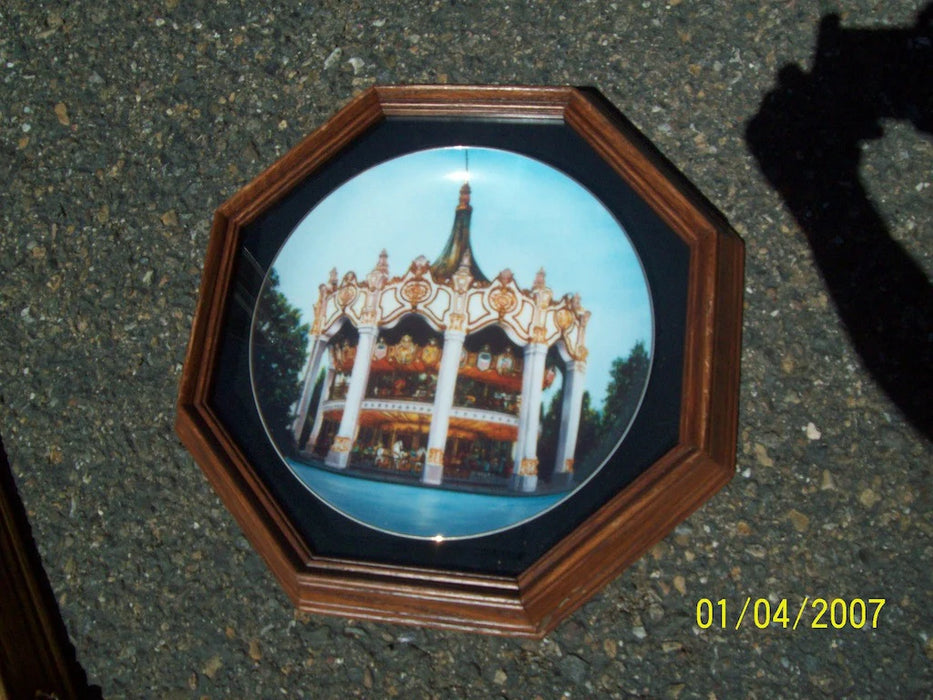 Collectors plate framed 3135