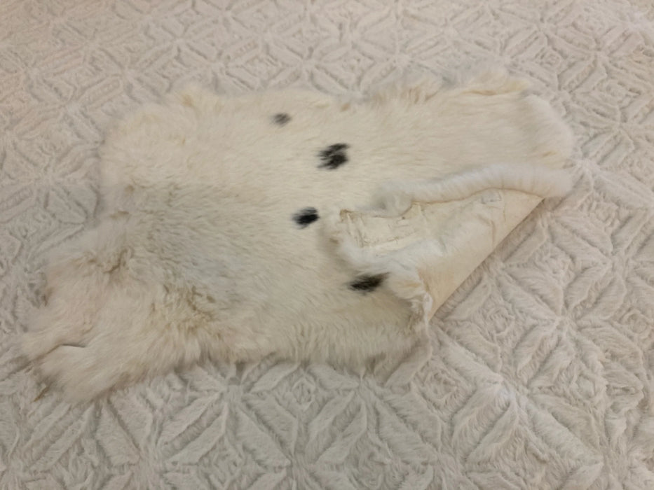 White with black spots rabbit hide BS-40019