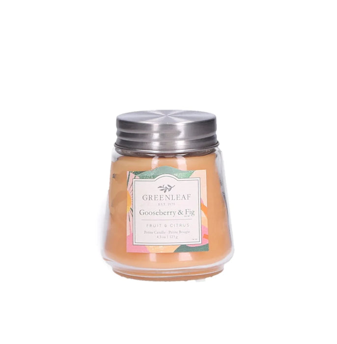 Gooseberry & Fig petite Candle GL-901565