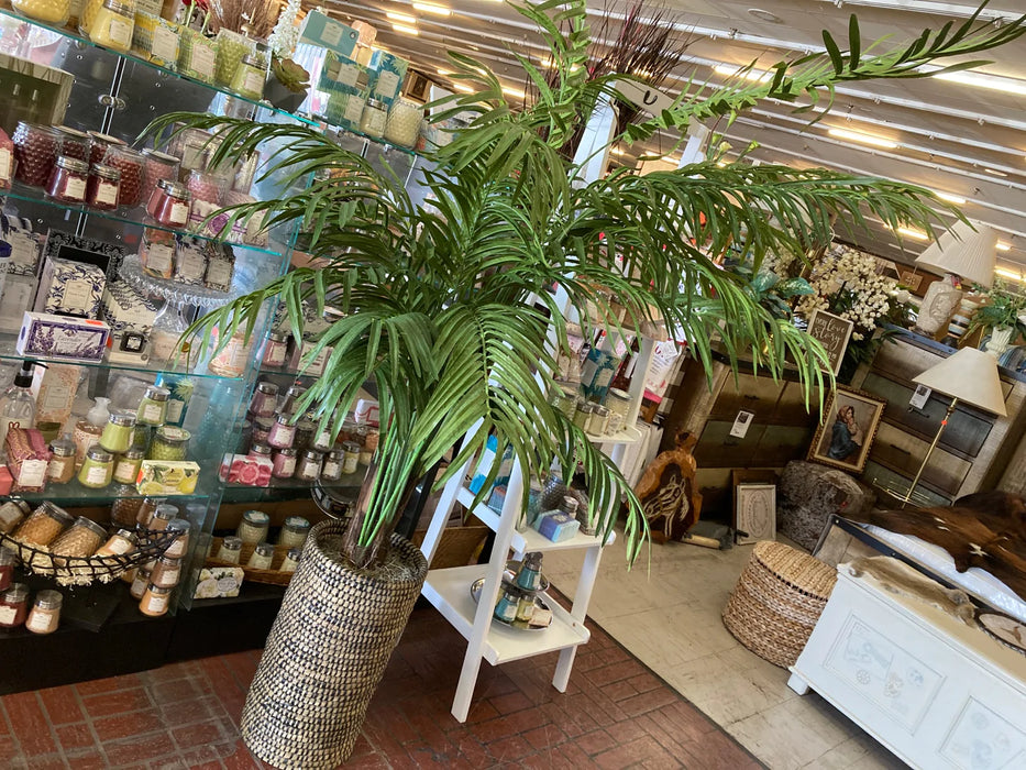 Faux palm tree in basket 28030