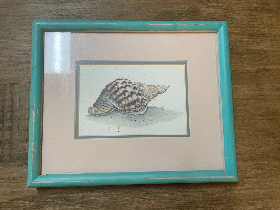 Shell print in framed and matted picture 28355