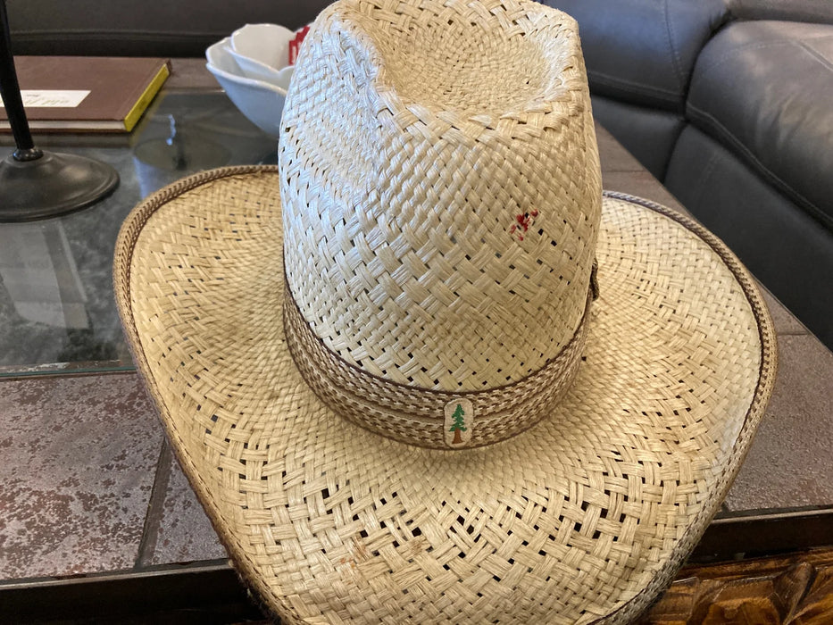 Resistol stagecoach hat sales