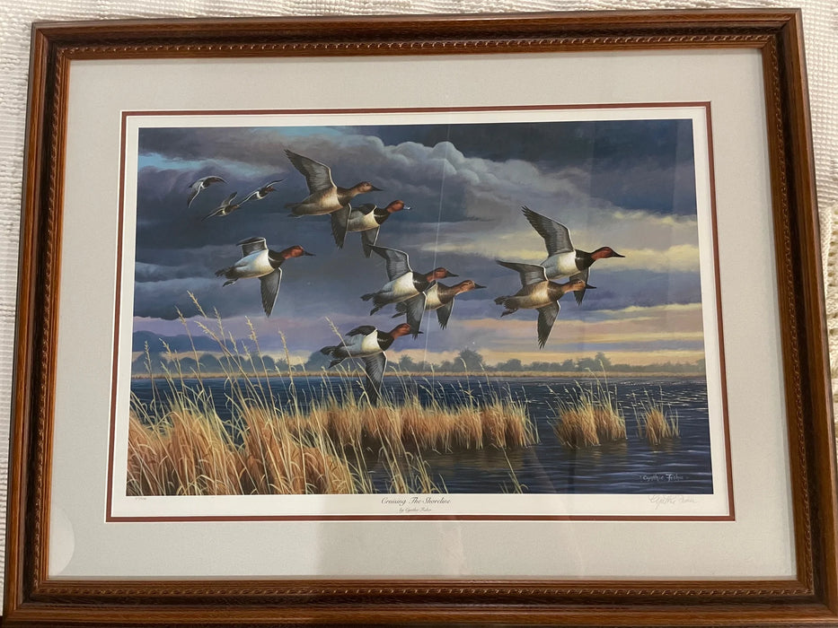Ducks Unlimited framed picture "Cruising the Shoreline" by Cynthie Fisher 28940