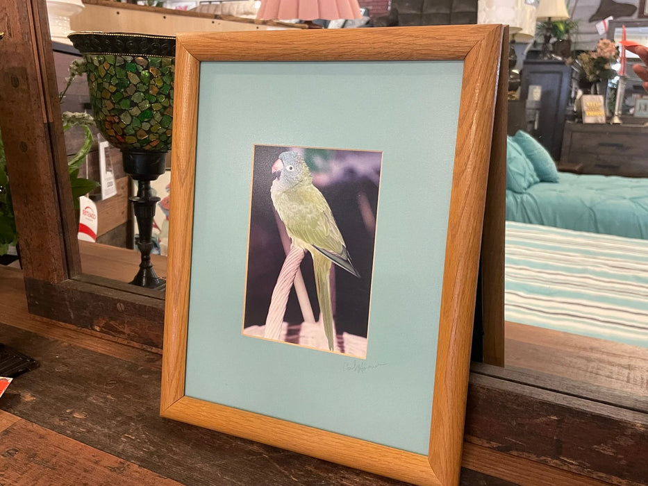 Framed matted bird photo picture 29212