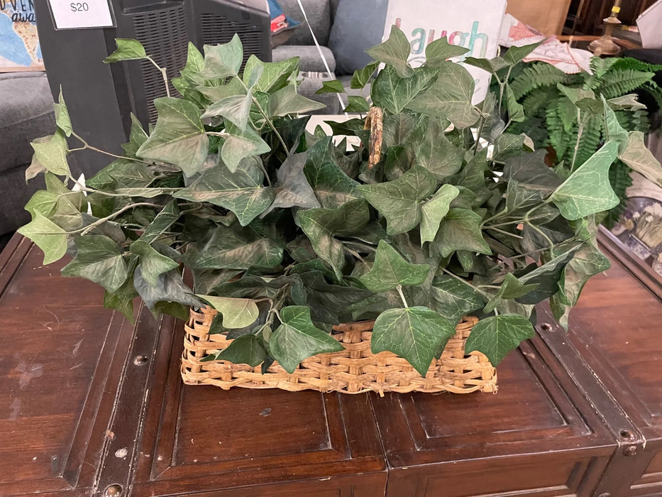 Wicker basket with Ivy greenery 29234