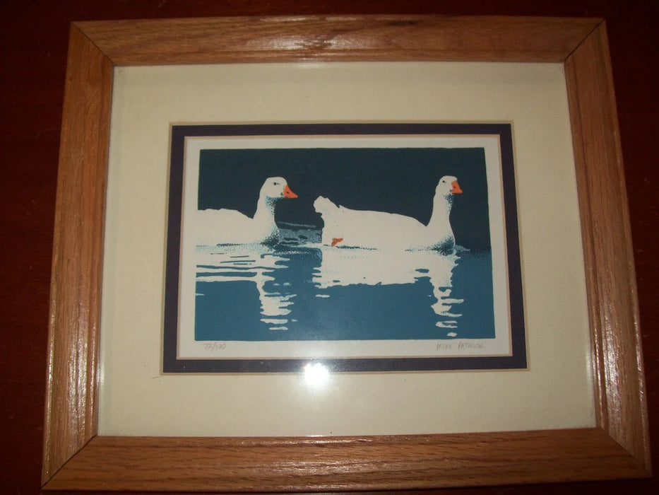White duck picture 4365