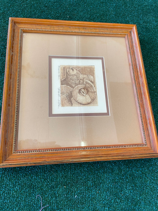 Big horn ram picture in frame 30819