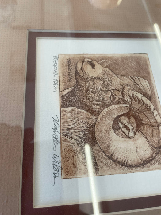 Big horn ram picture in frame 30819